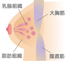シリコンバッグ挿入の説明